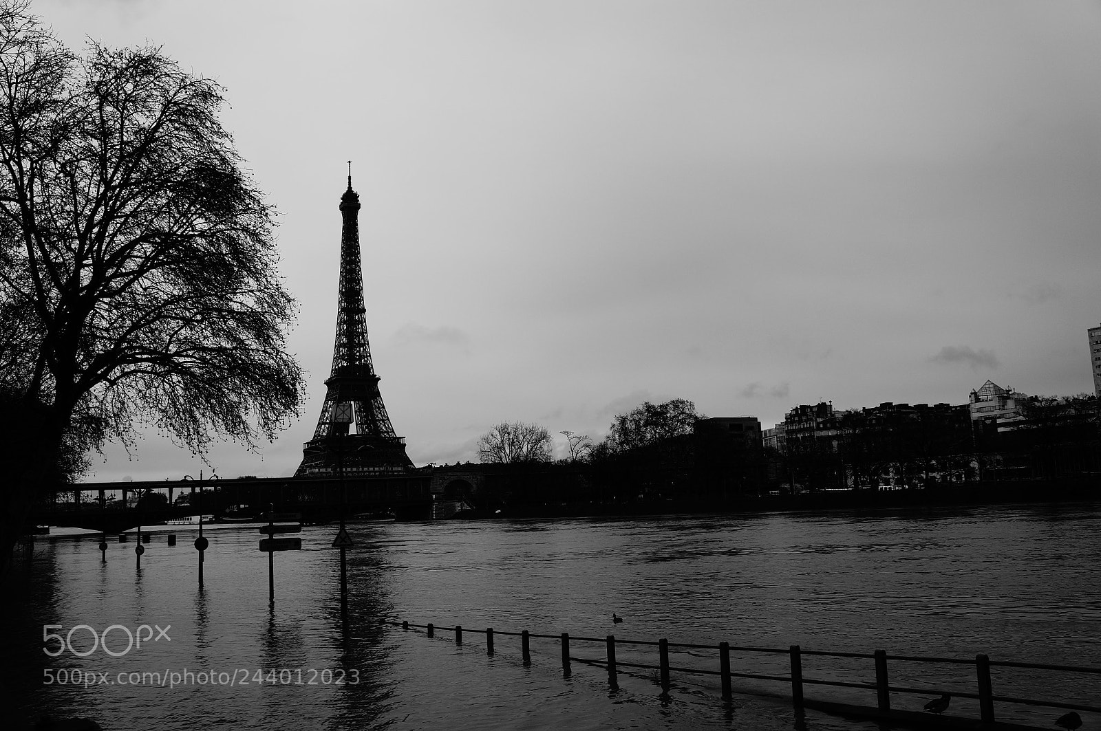 Sony Alpha NEX-5N sample photo. Flood in paris photography