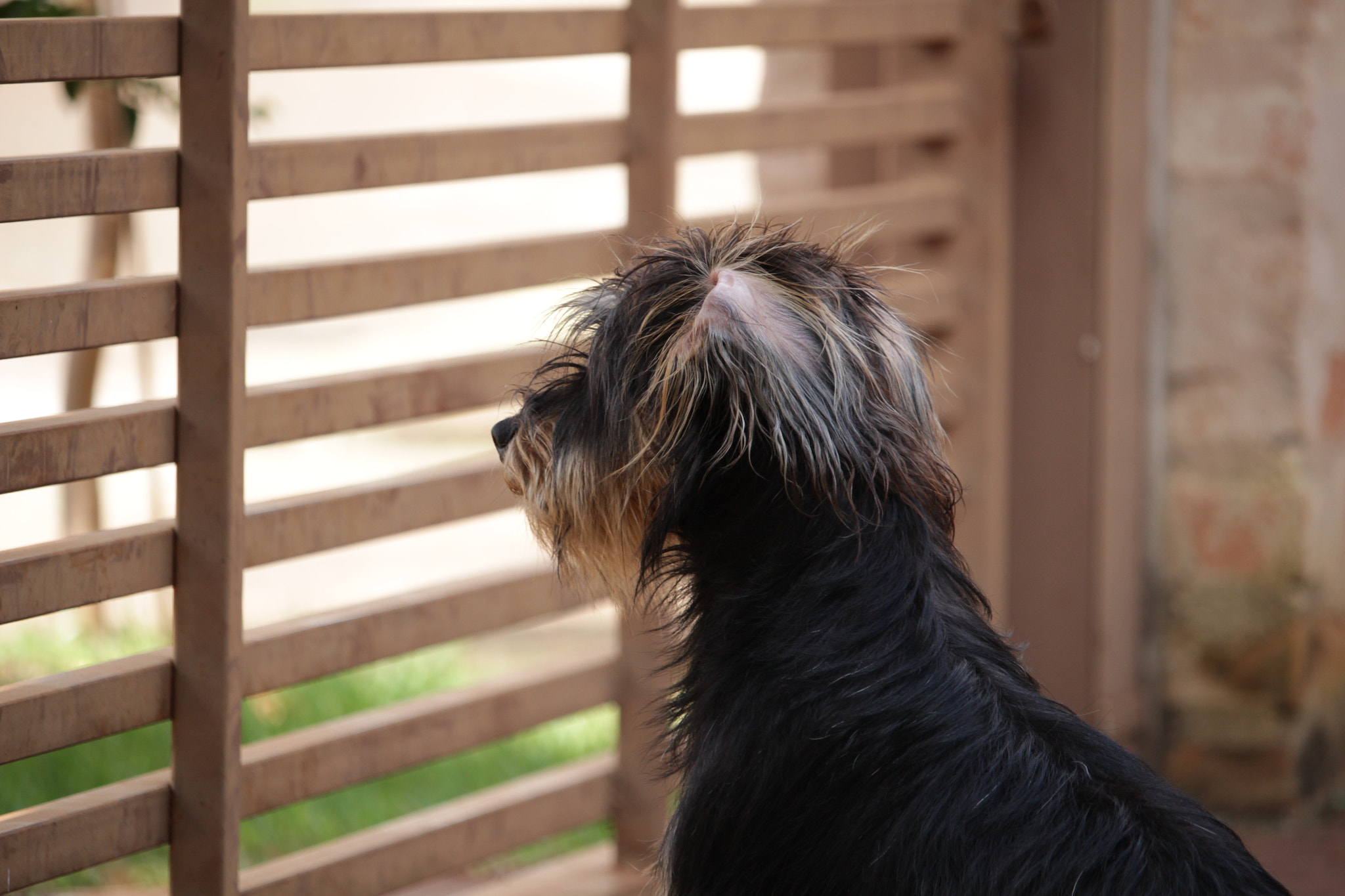 Canon EOS 100D (EOS Rebel SL1 / EOS Kiss X7) sample photo. Img photography