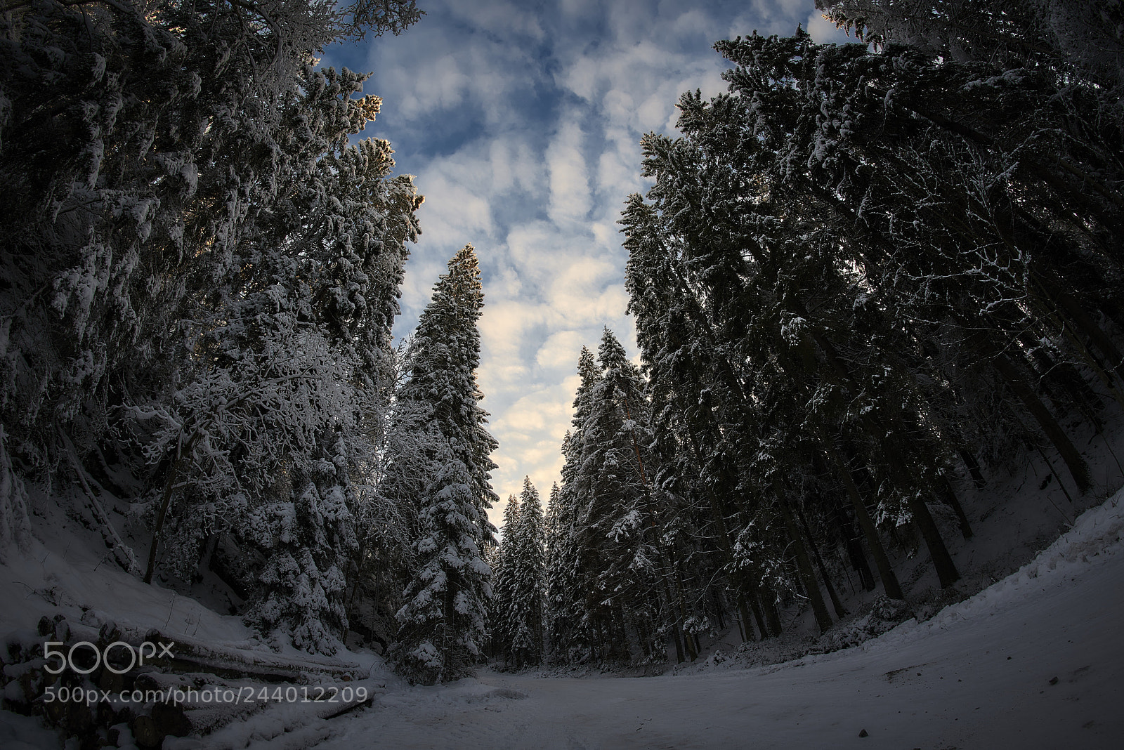Nikon D800E sample photo. Overwhelmed photography