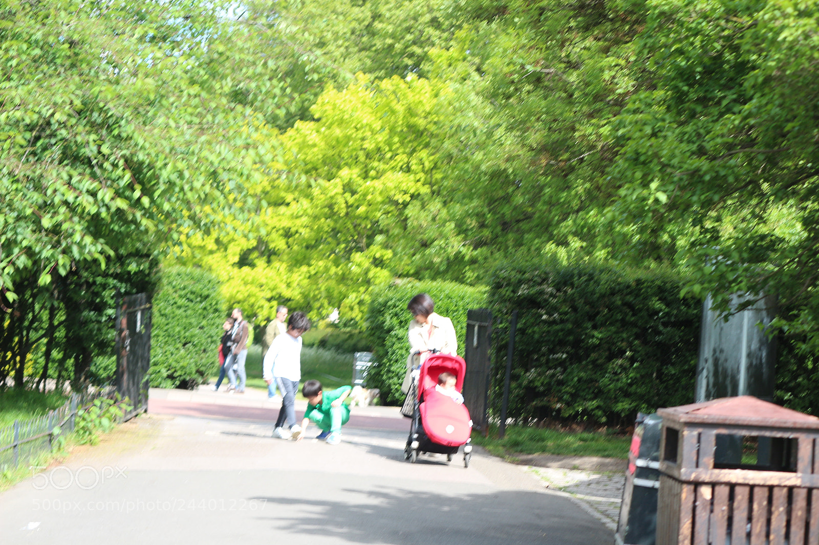 Canon EOS 650D (EOS Rebel T4i / EOS Kiss X6i) sample photo. Img photography