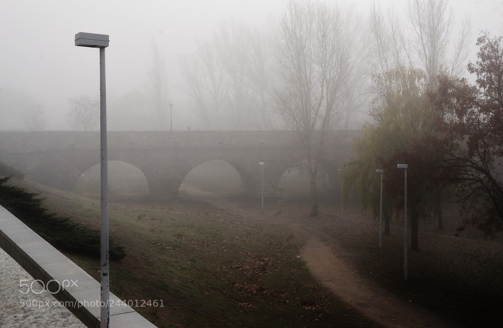 Nikon D3100 sample photo. Niebla en el tormes photography