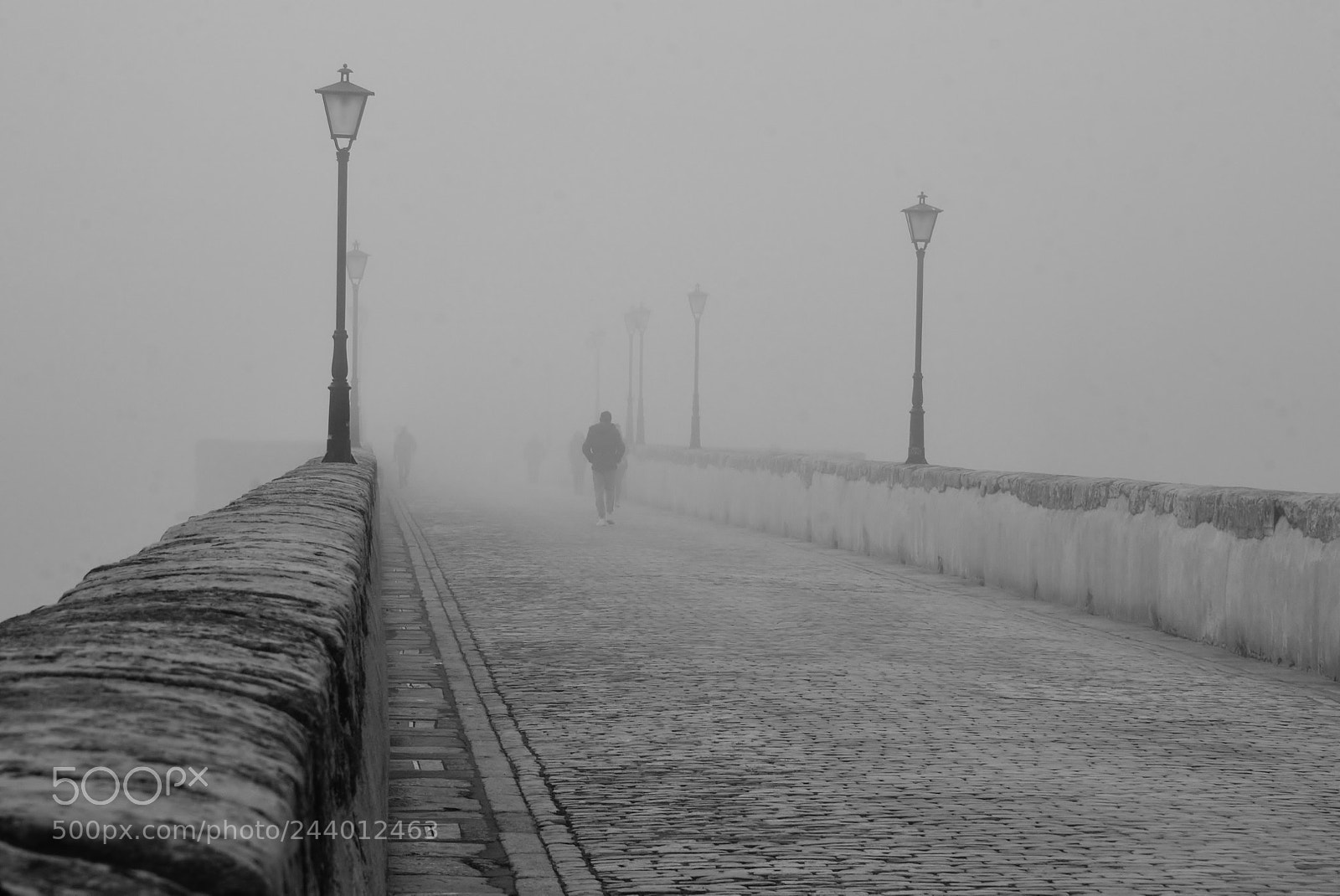 Nikon D3100 sample photo. Niebla en el tormes photography