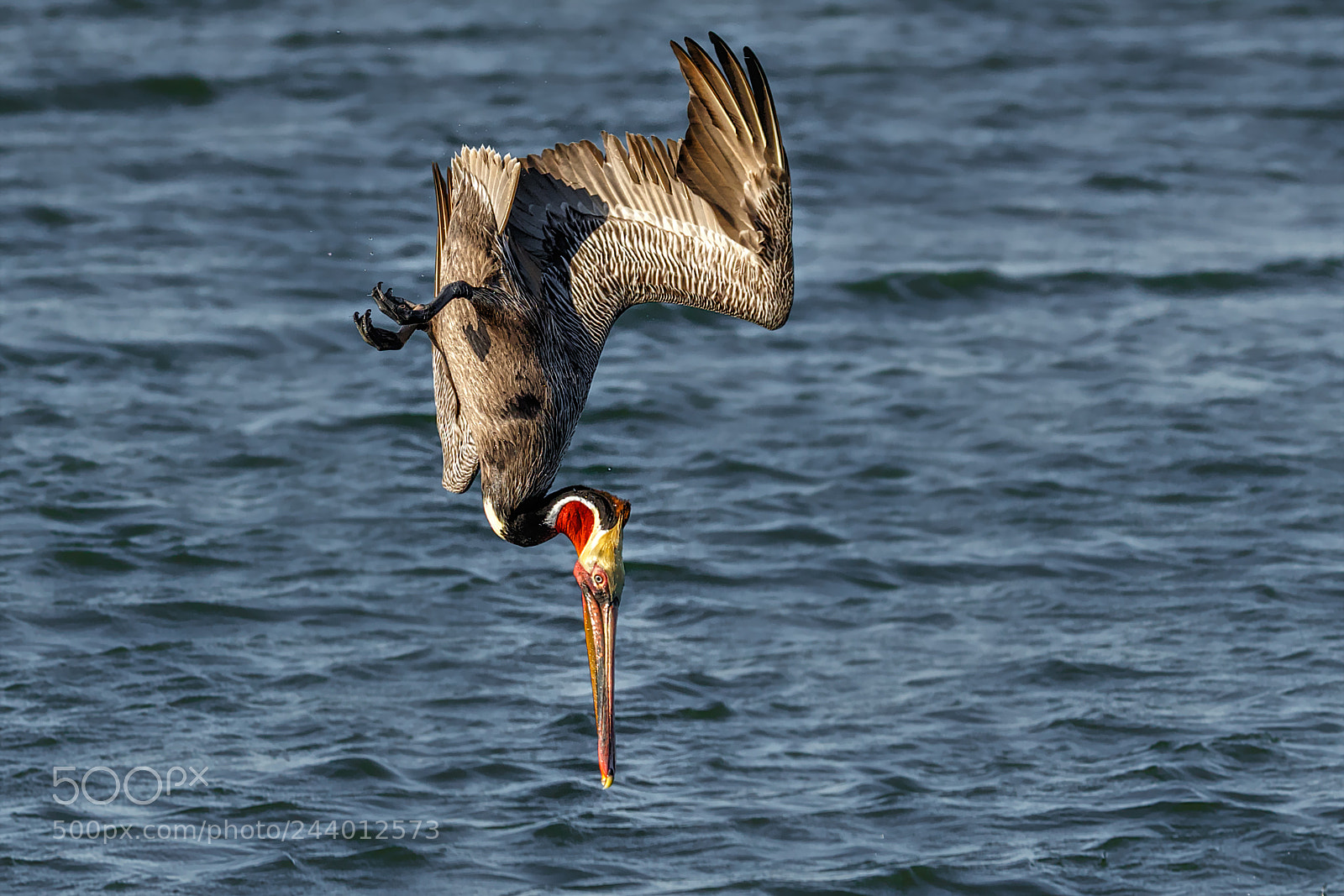 Canon EOS 7D Mark II sample photo. Vertical descent photography