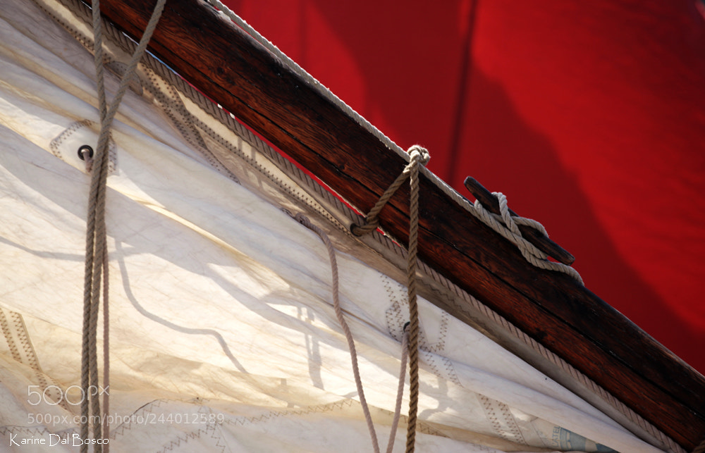 Canon EOS 5D Mark II sample photo. White sail, red sail photography