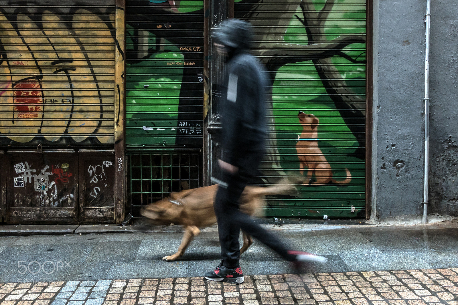 Sony Cyber-shot DSC-RX100 III sample photo. The best friend photography