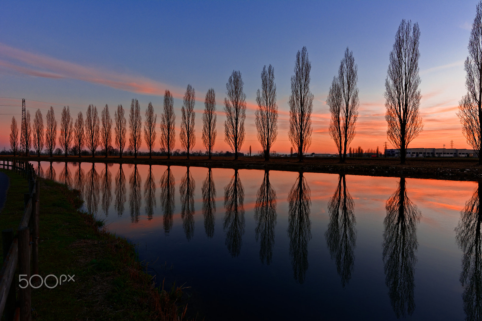 Nikon AF-S Nikkor 14-24mm F2.8G ED sample photo. Cartoon photography