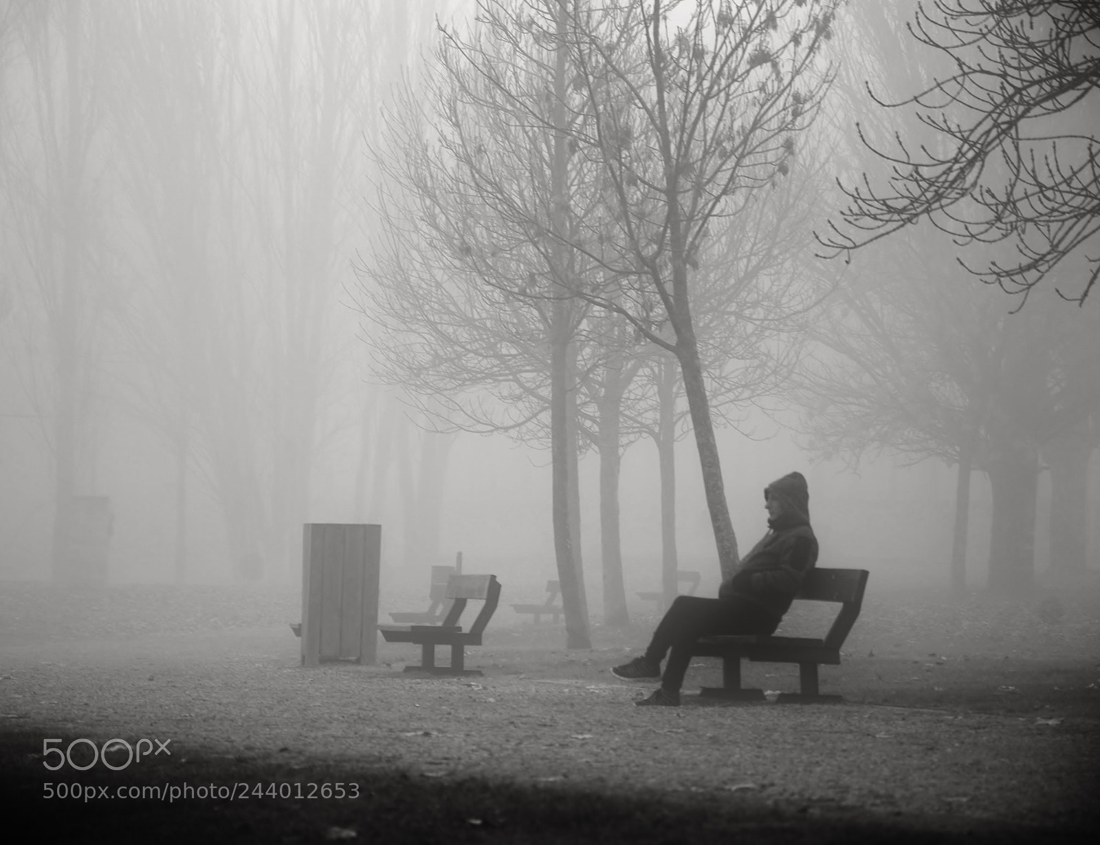 Nikon D3100 sample photo. Niebla en el tormes photography