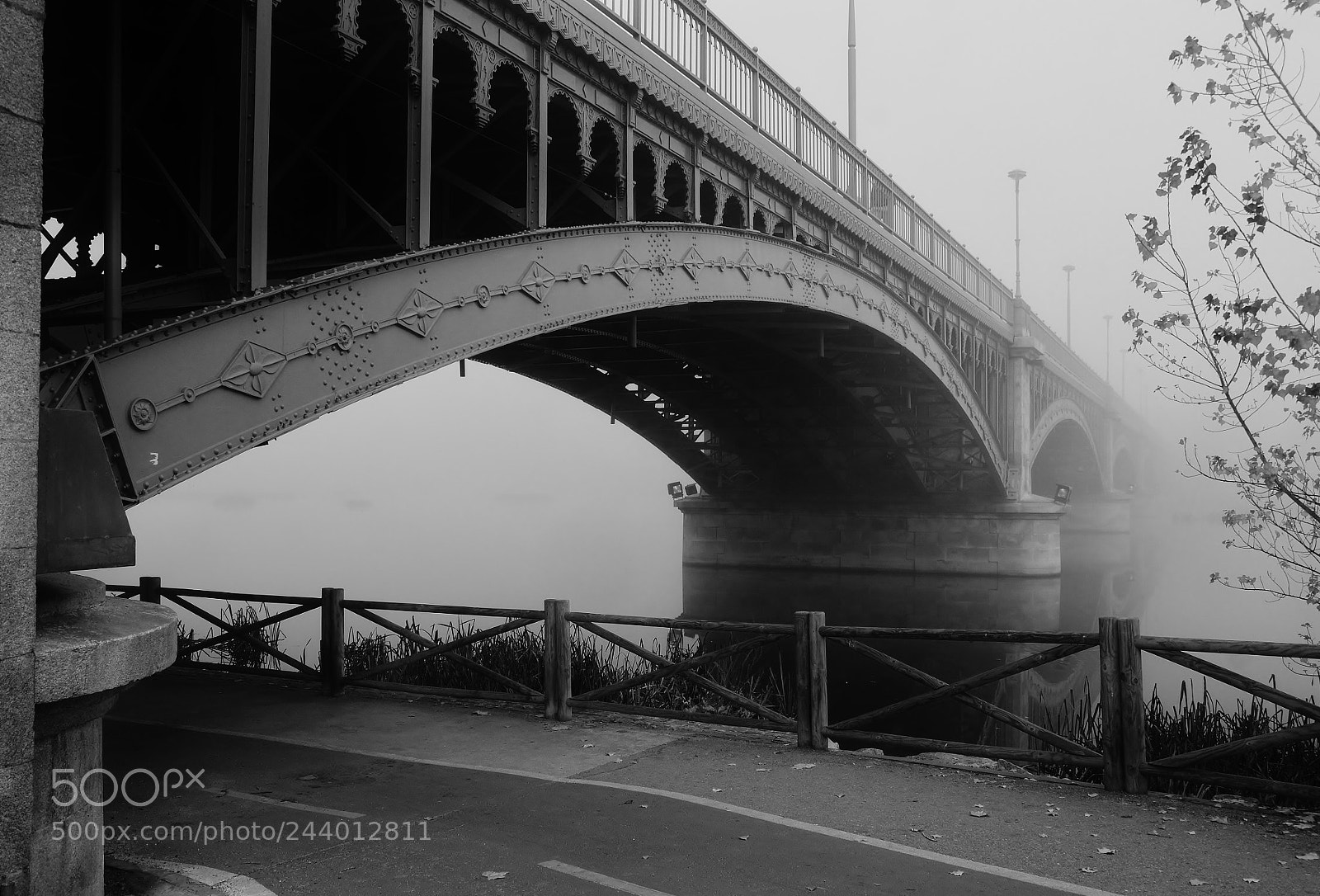 Nikon D3100 sample photo. Niebla en el tormes photography