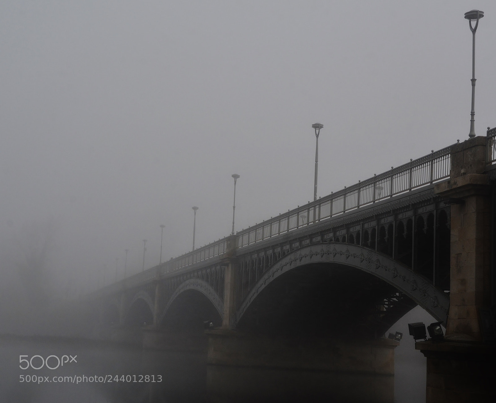 Nikon D3100 sample photo. Niebla en el tormes photography