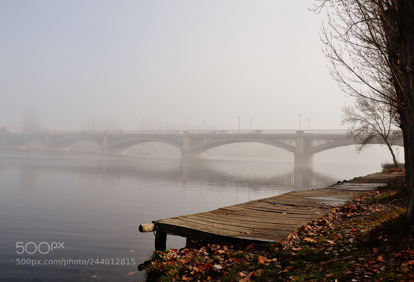Nikon D3100 sample photo. Niebla en el tormes photography