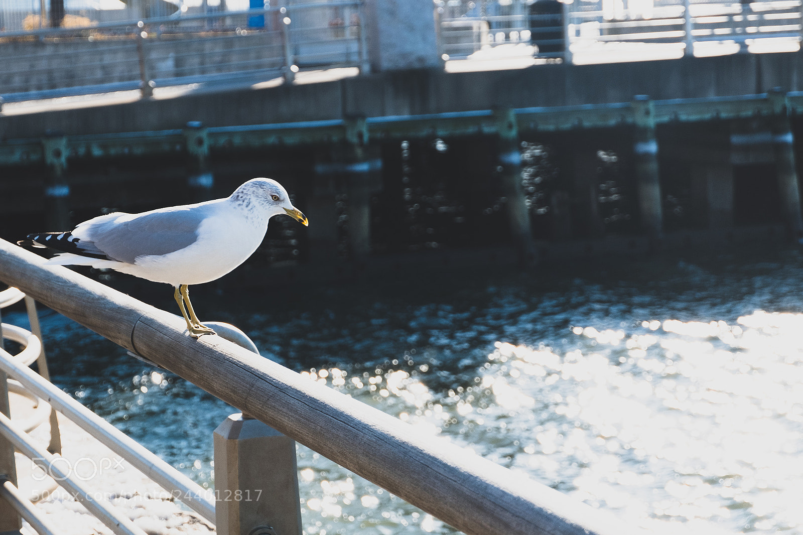 Fujifilm X-T20 sample photo. Dscf photography