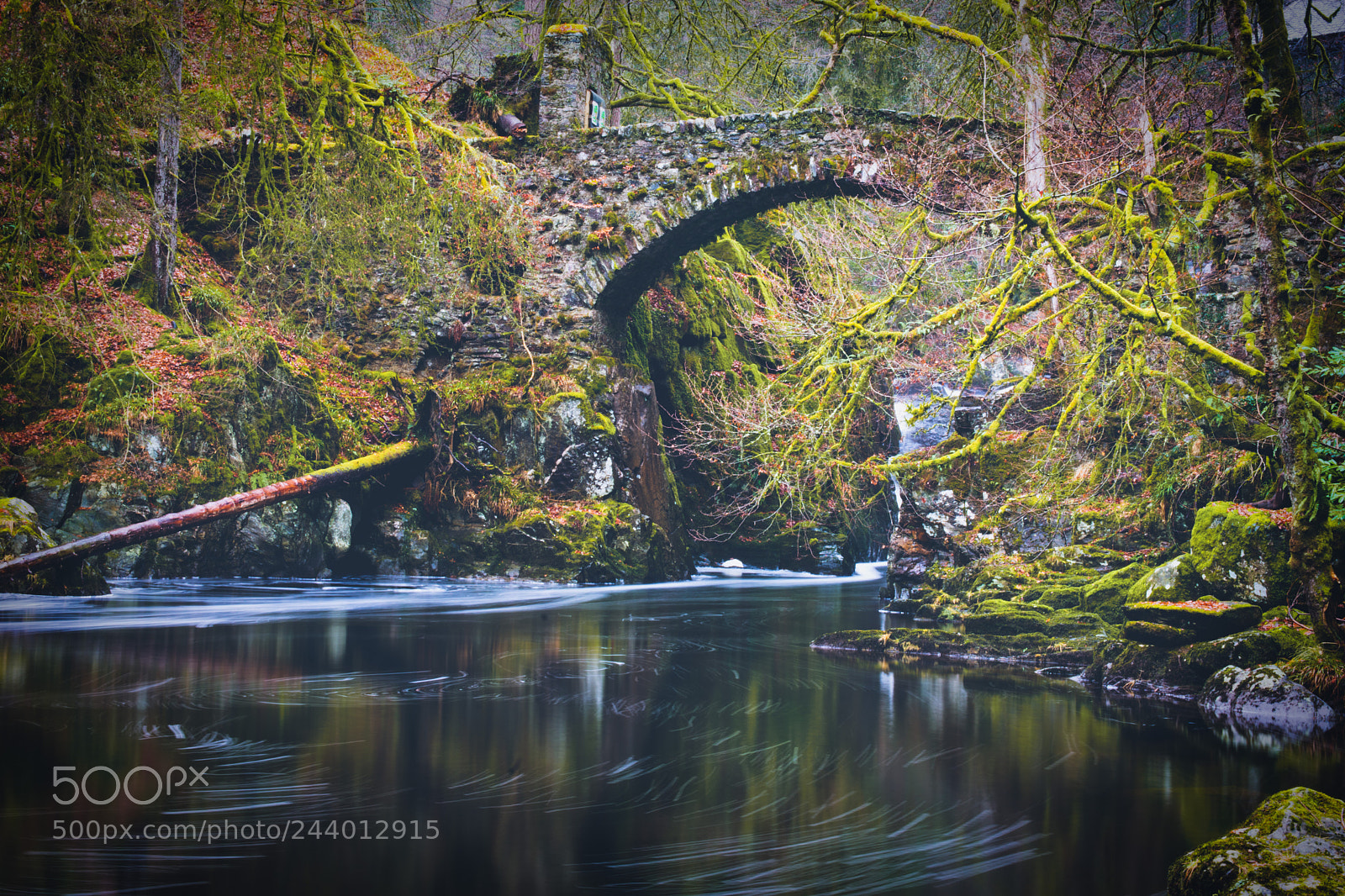 Nikon D7200 sample photo. The bridge photography