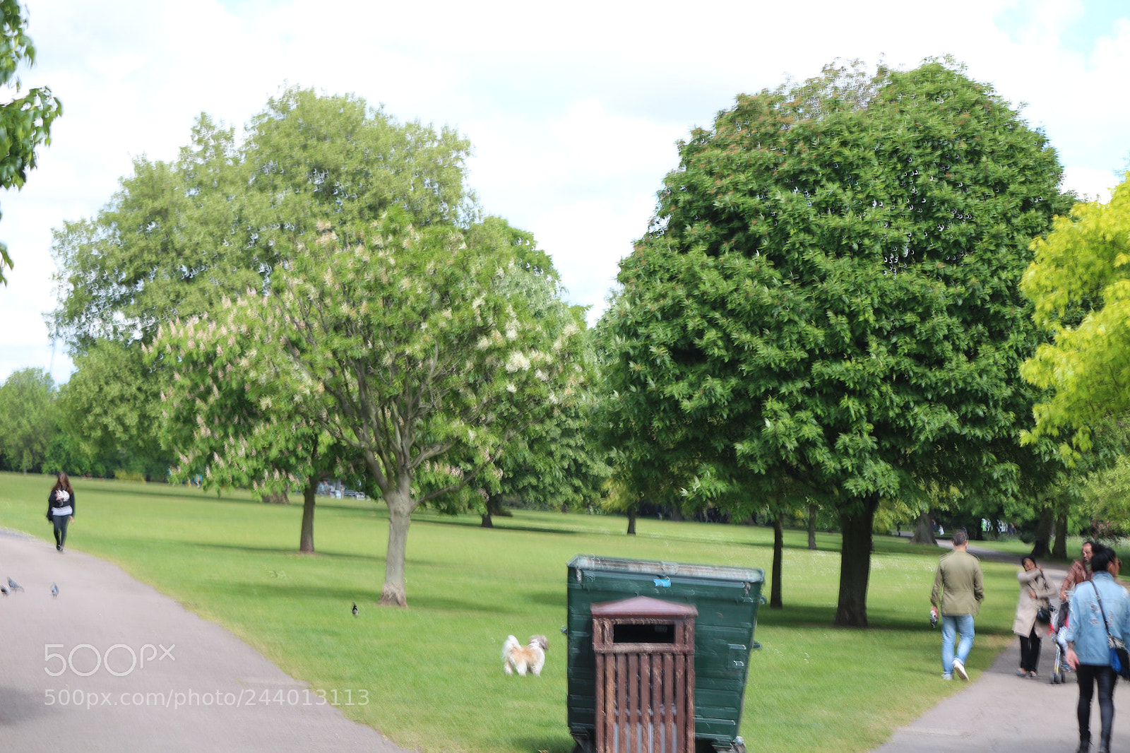Canon EOS 650D (EOS Rebel T4i / EOS Kiss X6i) sample photo. Img photography