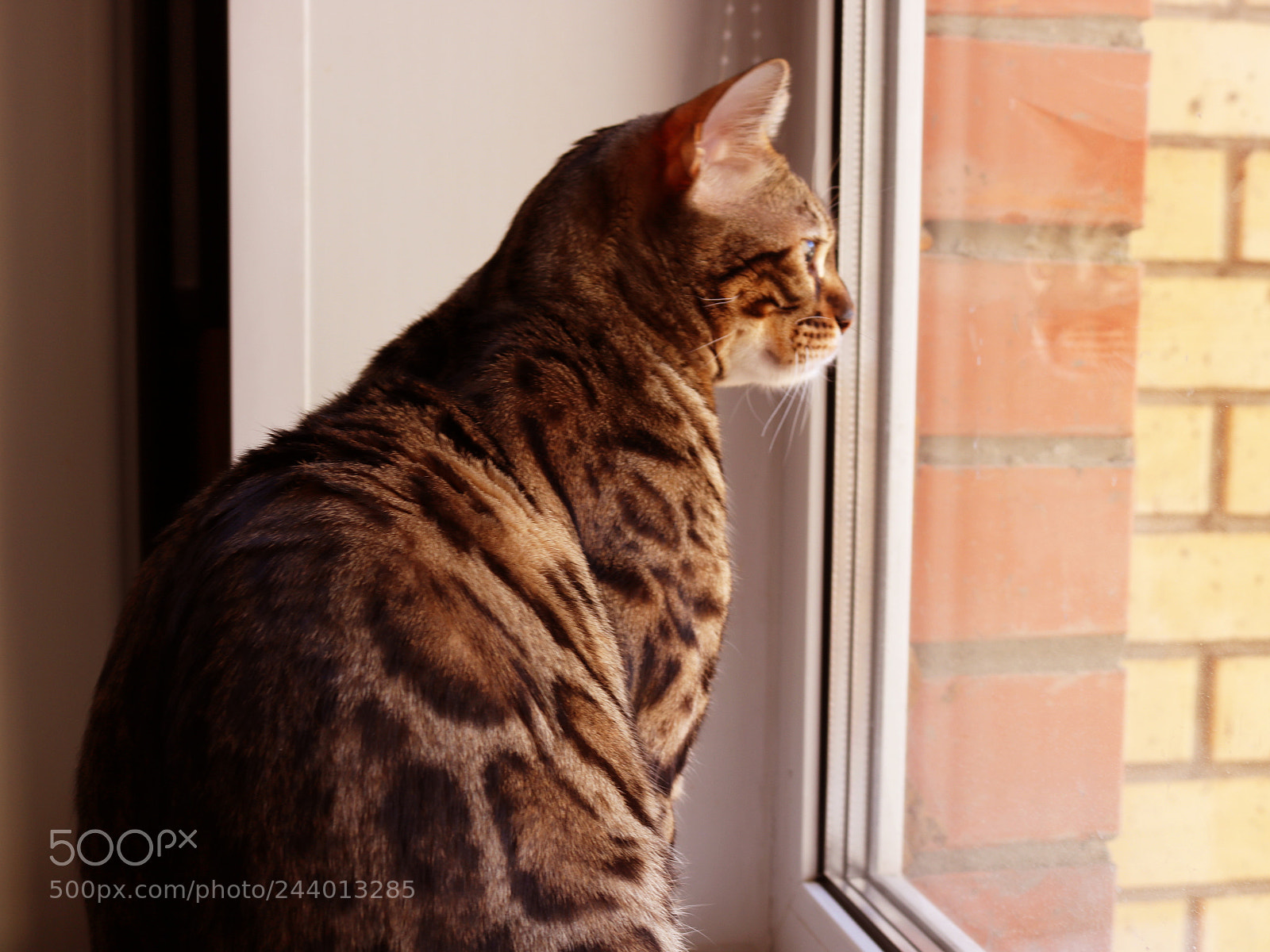 Canon EOS 760D (EOS Rebel T6s / EOS 8000D) sample photo. 51.jpg photography