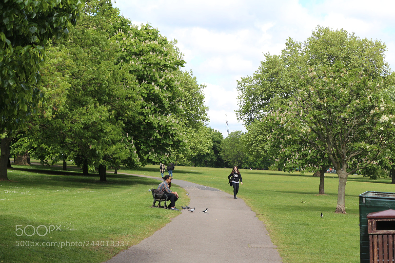 Canon EOS 650D (EOS Rebel T4i / EOS Kiss X6i) sample photo. Img photography