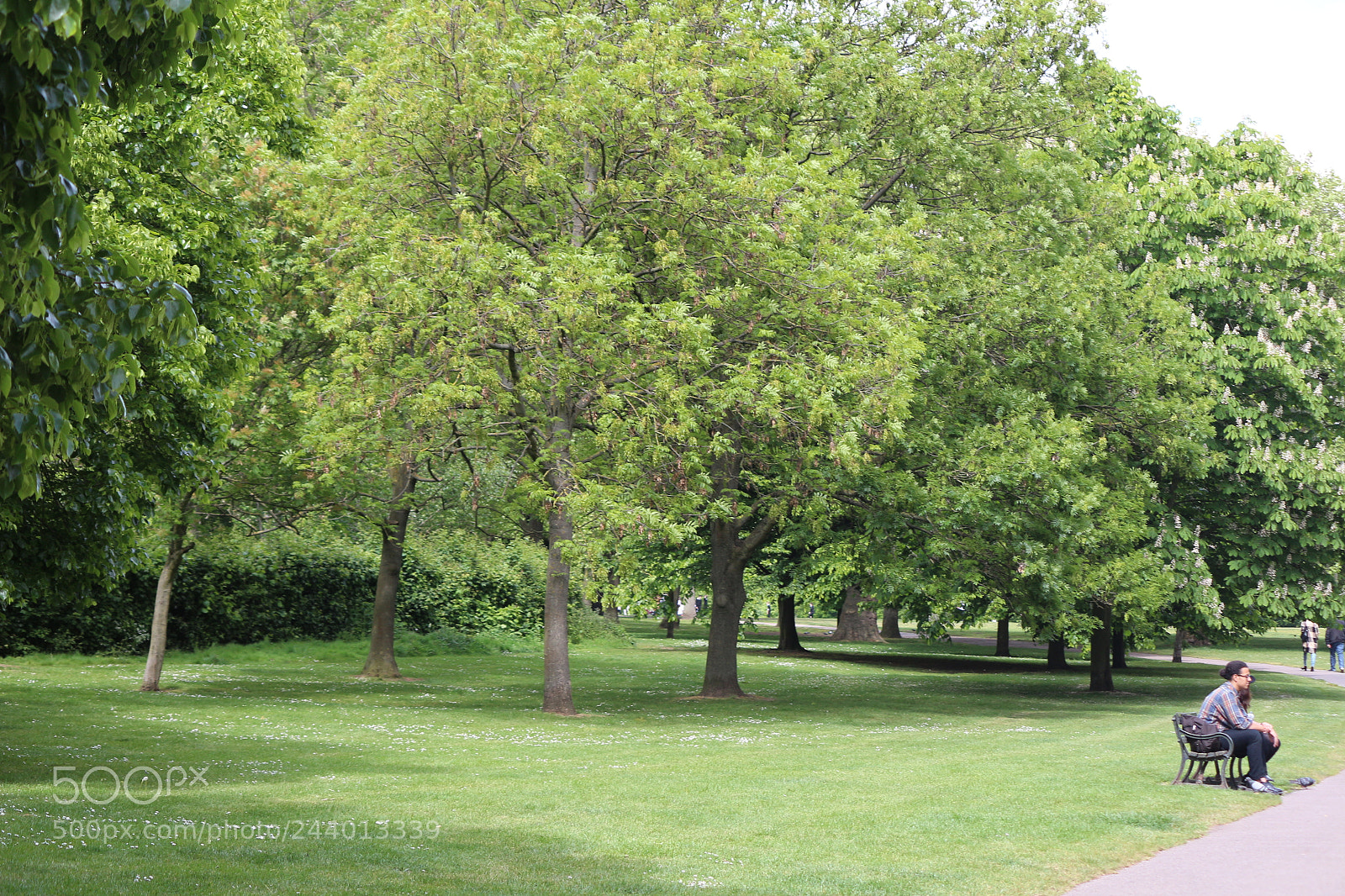 Canon EOS 650D (EOS Rebel T4i / EOS Kiss X6i) sample photo. Img photography