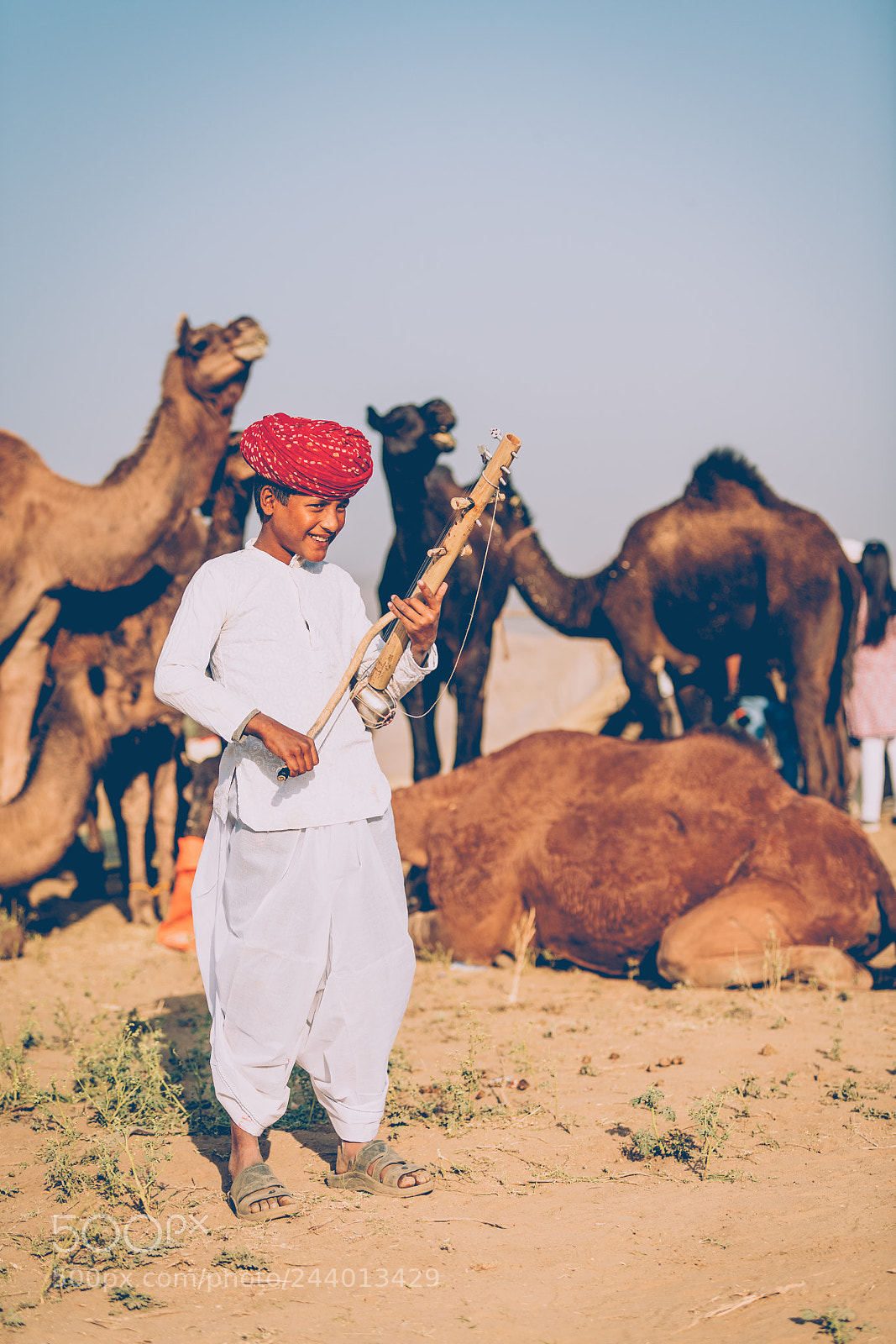 Nikon D850 sample photo. A musician in pushkar photography