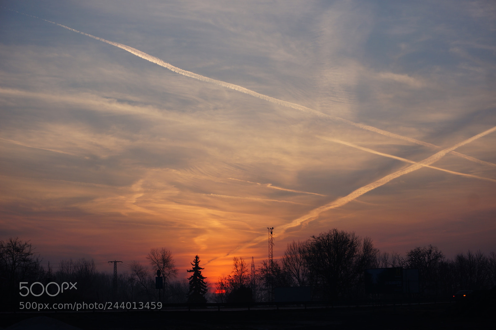 Sony Alpha NEX-5N sample photo. Untitled photography