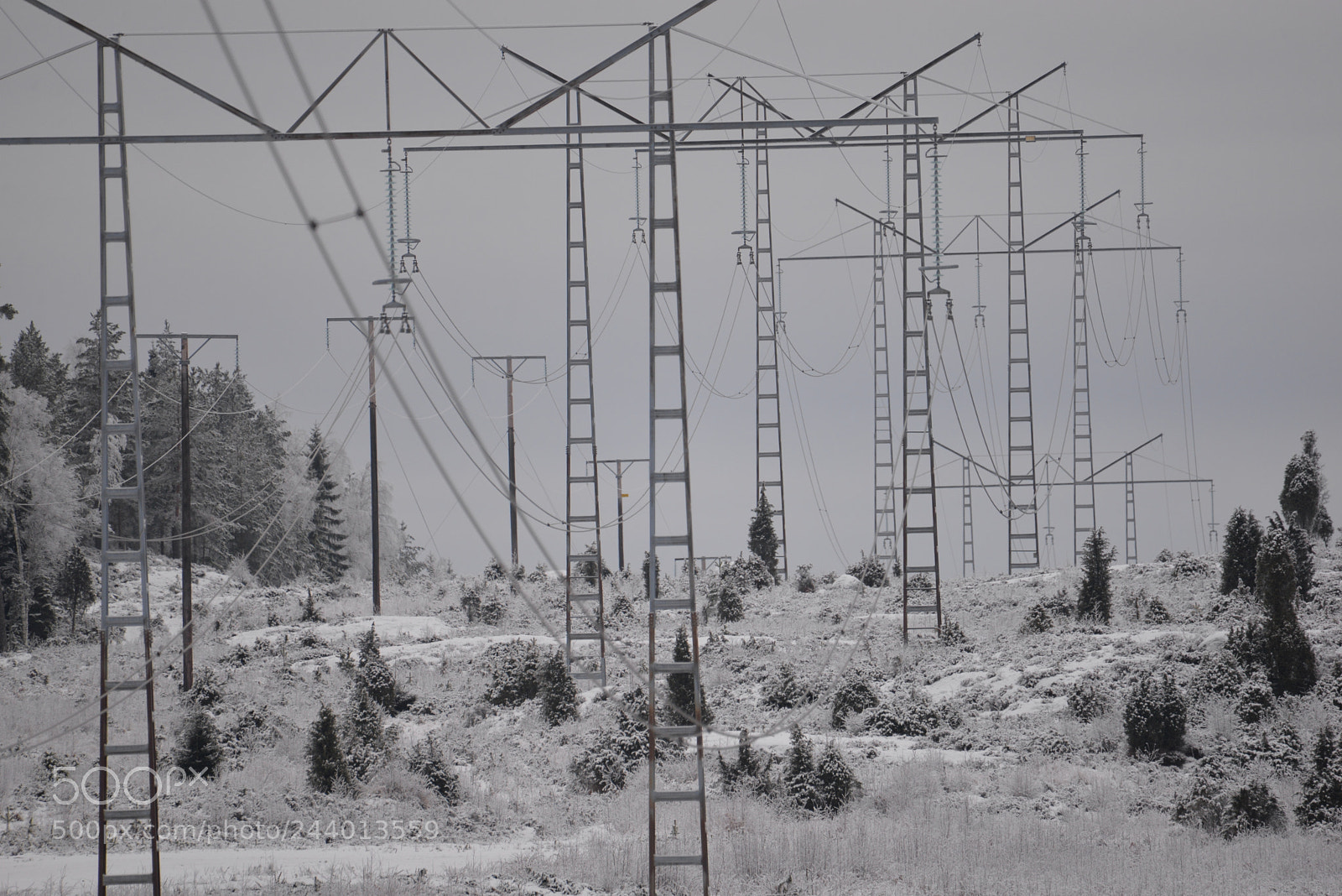 Nikon D610 sample photo. Powerline thru the landscape photography