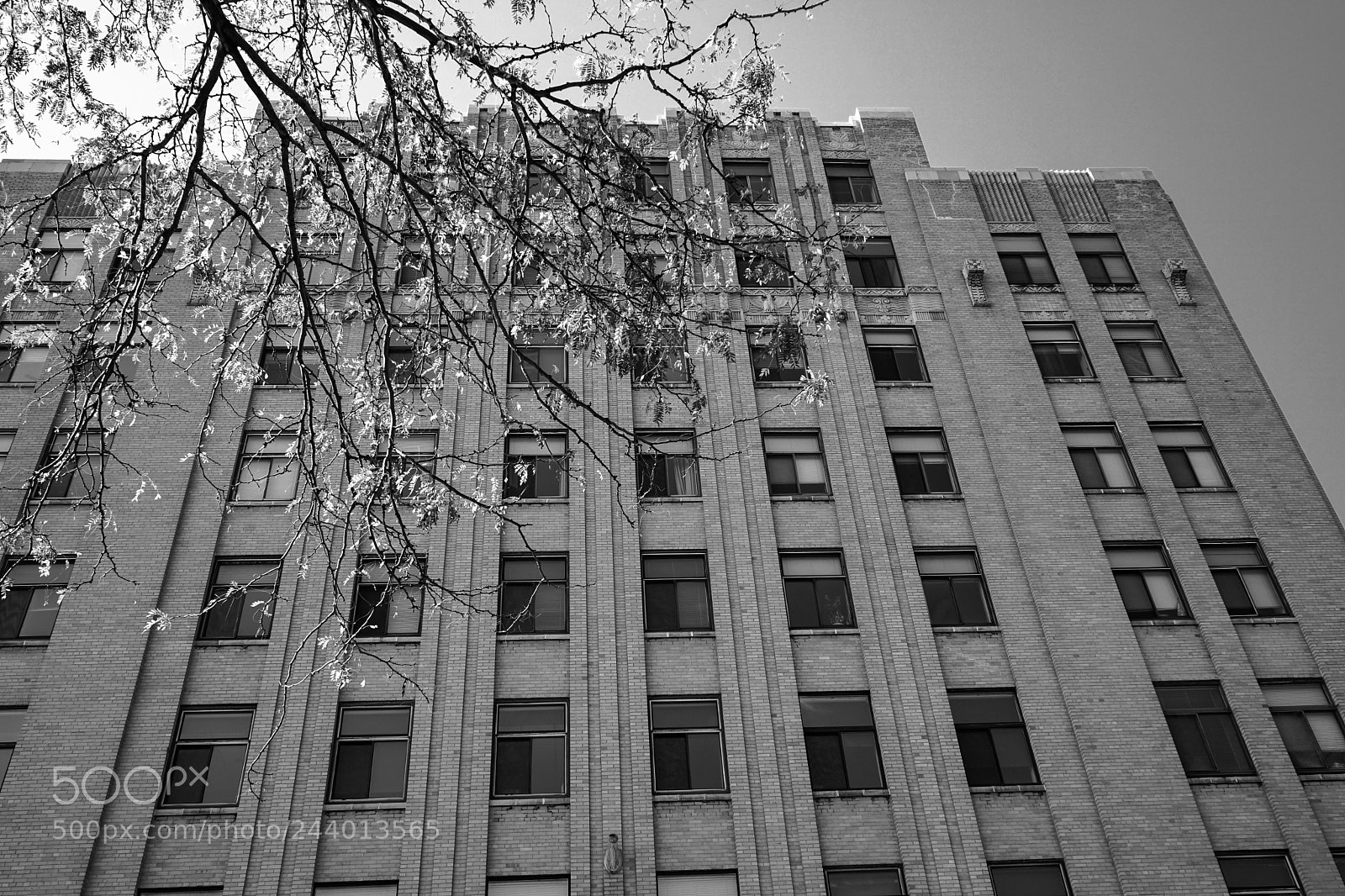 Sony a7 II sample photo. Medical arts building photography