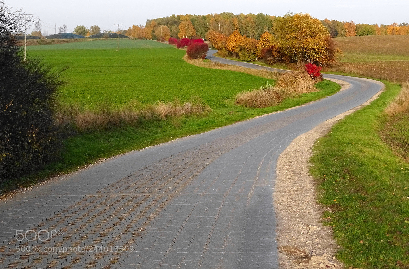 Sony Cyber-shot DSC-HX400V sample photo. The way in autumn photography