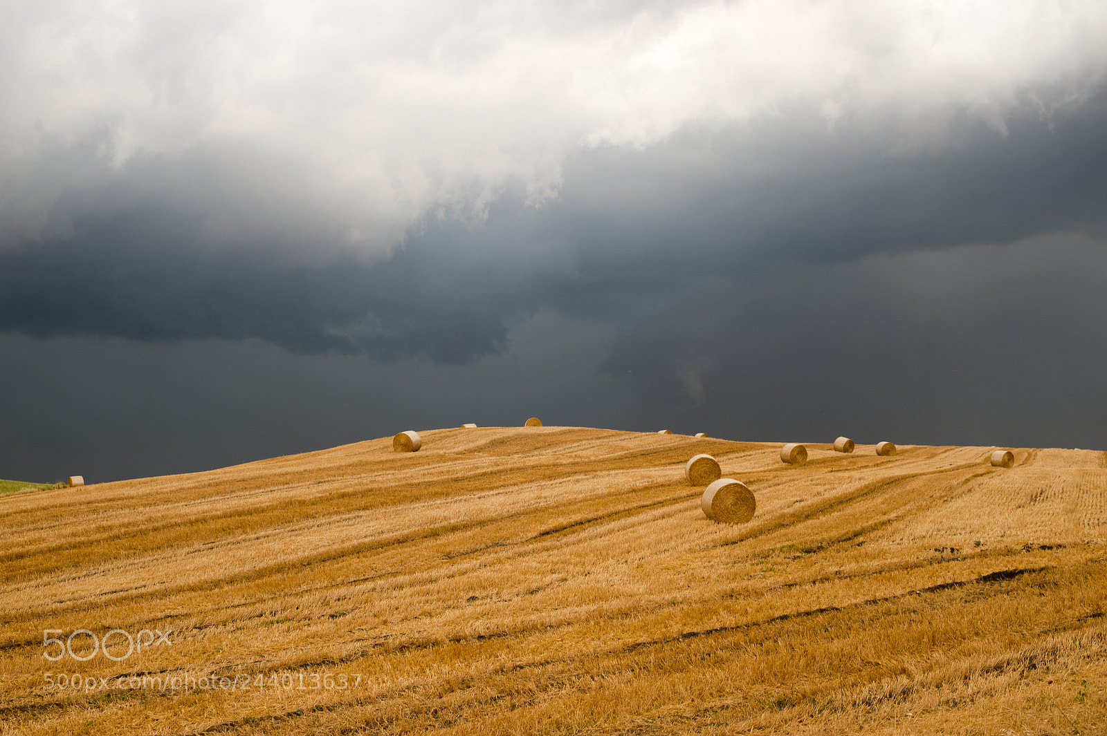 Nikon D700 sample photo. Landscape in campania italy photography