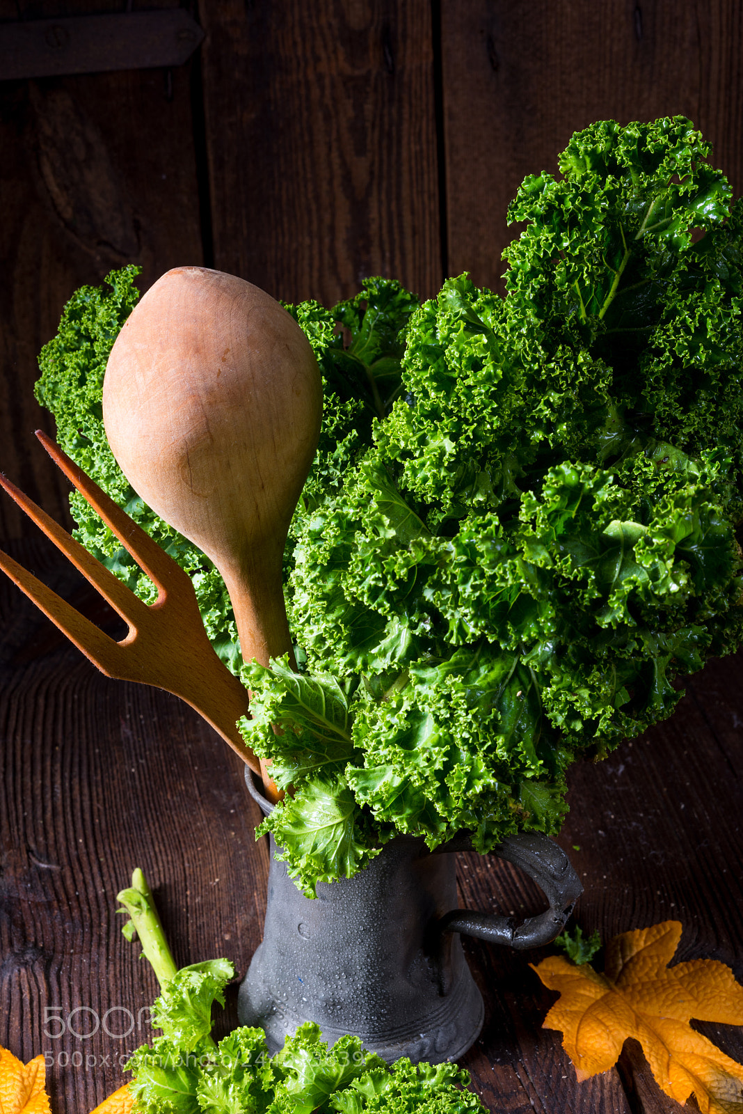 Nikon D810 sample photo. Kale brassica oleracea photography