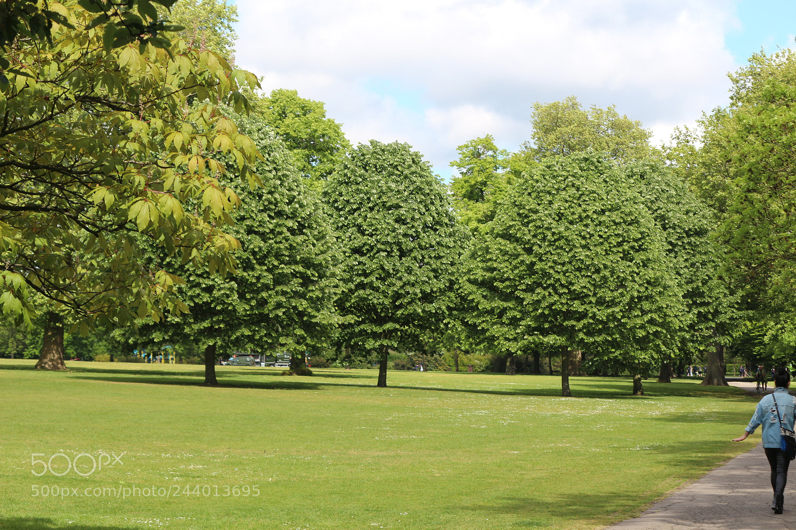 Canon EOS 650D (EOS Rebel T4i / EOS Kiss X6i) sample photo. Img photography