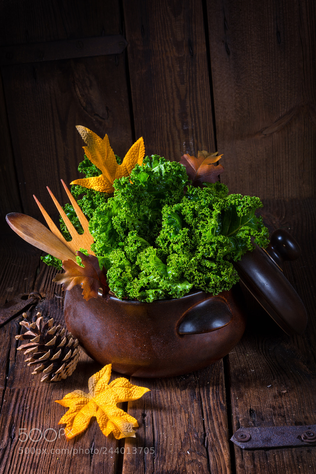 Nikon D810 sample photo. Kale brassica oleracea photography