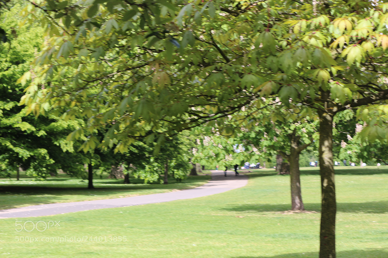 Canon EOS 650D (EOS Rebel T4i / EOS Kiss X6i) sample photo. Img photography