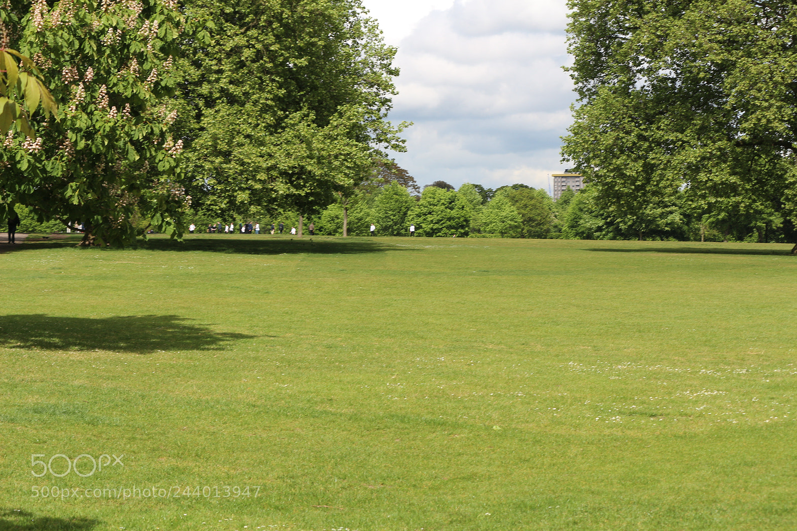 Canon EOS 650D (EOS Rebel T4i / EOS Kiss X6i) sample photo. Img photography
