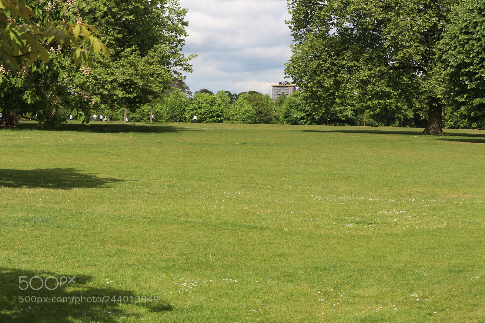 Canon EOS 650D (EOS Rebel T4i / EOS Kiss X6i) sample photo. Img photography