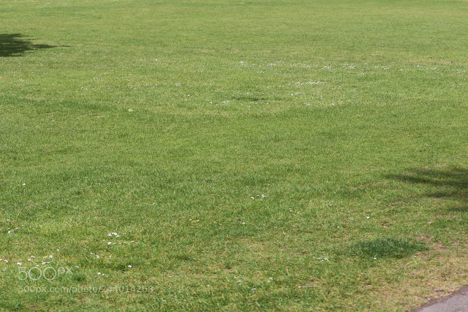 Canon EOS 650D (EOS Rebel T4i / EOS Kiss X6i) sample photo. Img photography