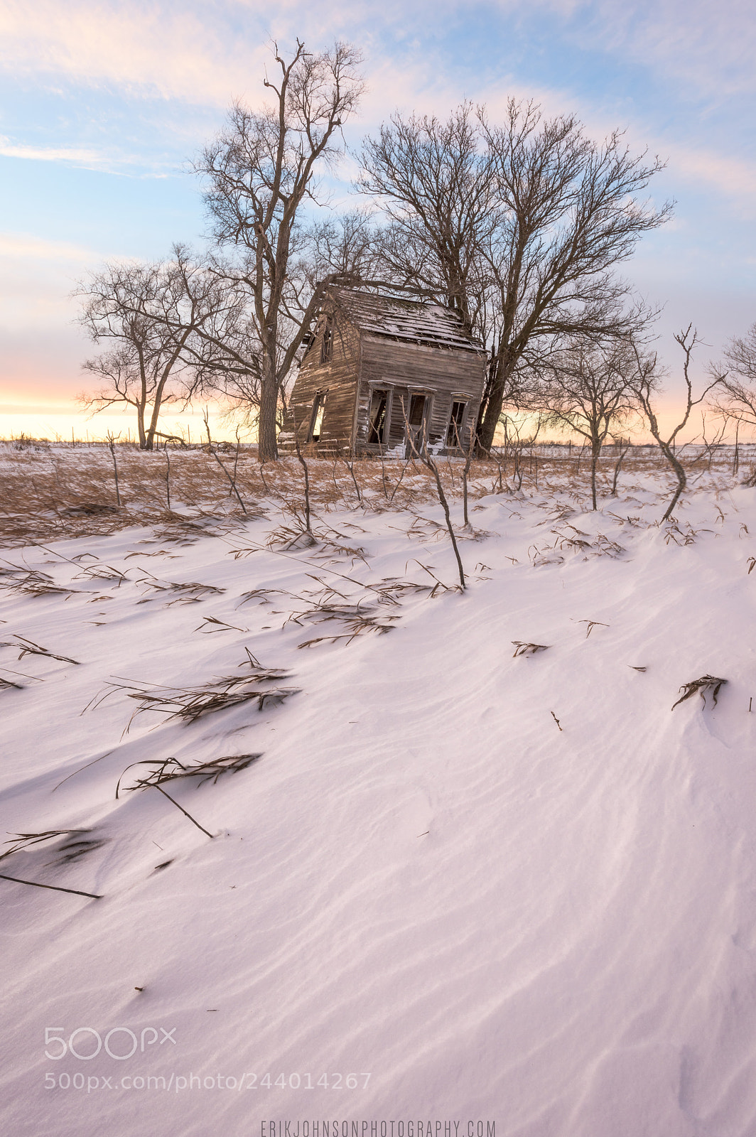 Nikon D810 sample photo. The house held up photography
