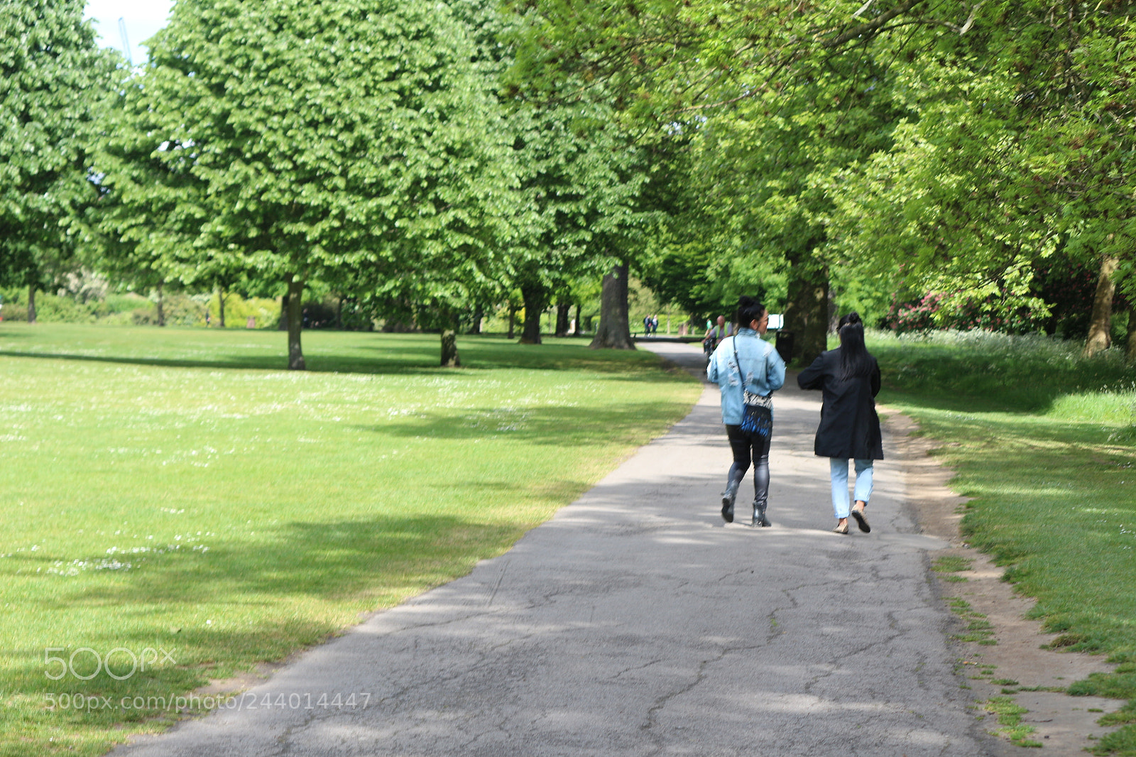 Canon EOS 650D (EOS Rebel T4i / EOS Kiss X6i) sample photo. Img photography