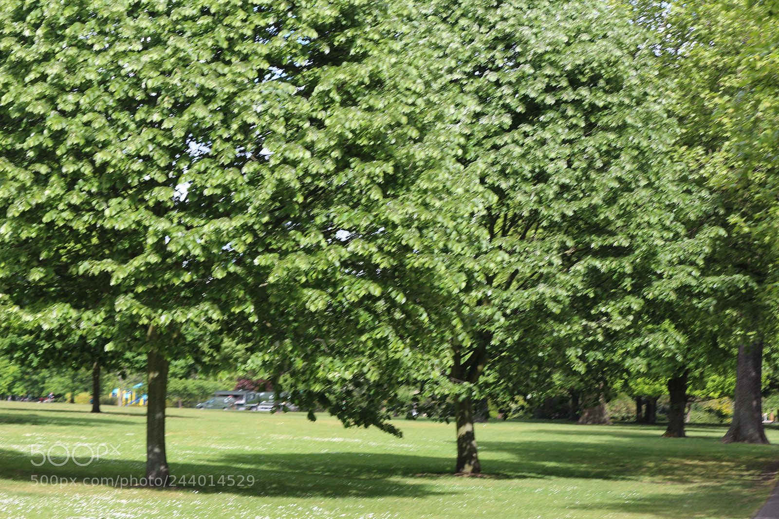 Canon EOS 650D (EOS Rebel T4i / EOS Kiss X6i) sample photo. Img photography
