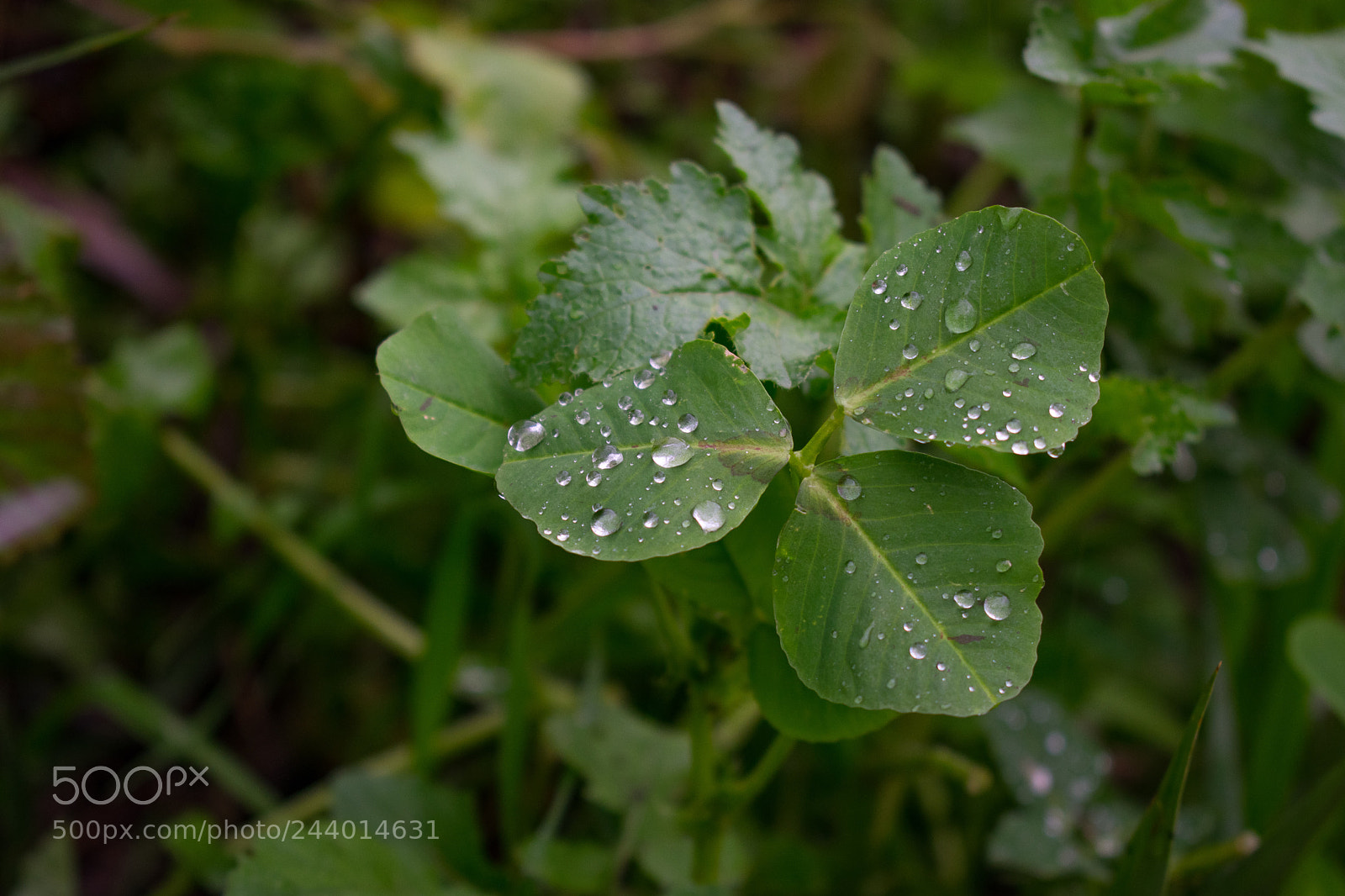 Nikon D3400 sample photo. I'm sweating too photography