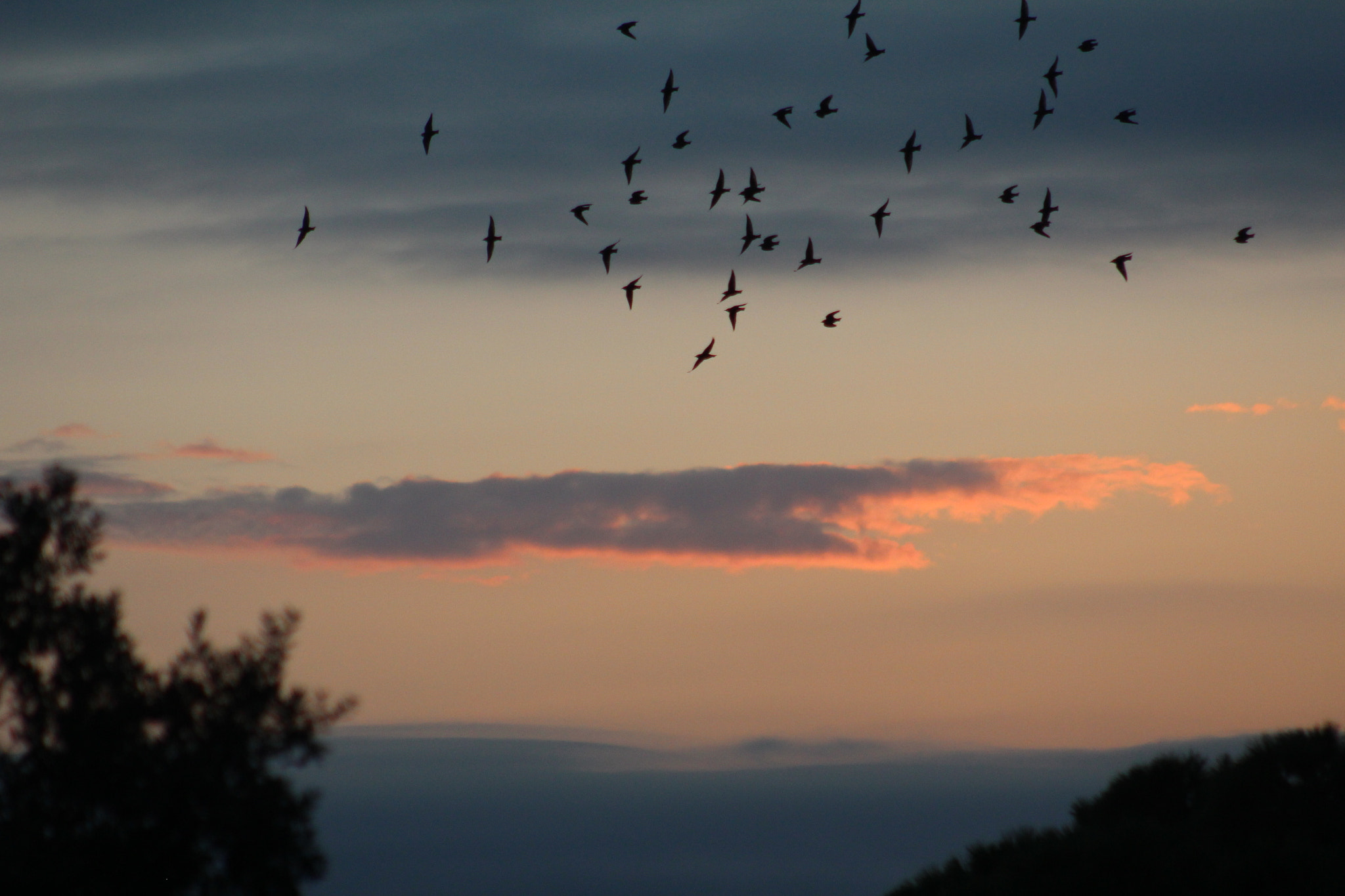 Canon EF 75-300mm f/4-5.6 USM sample photo. Img photography