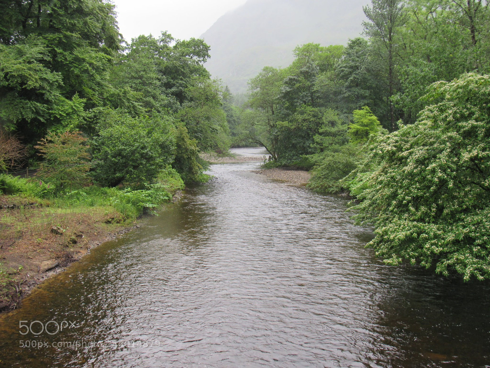 Canon PowerShot SX530 HS sample photo. 26480368_unknown.jpg photography