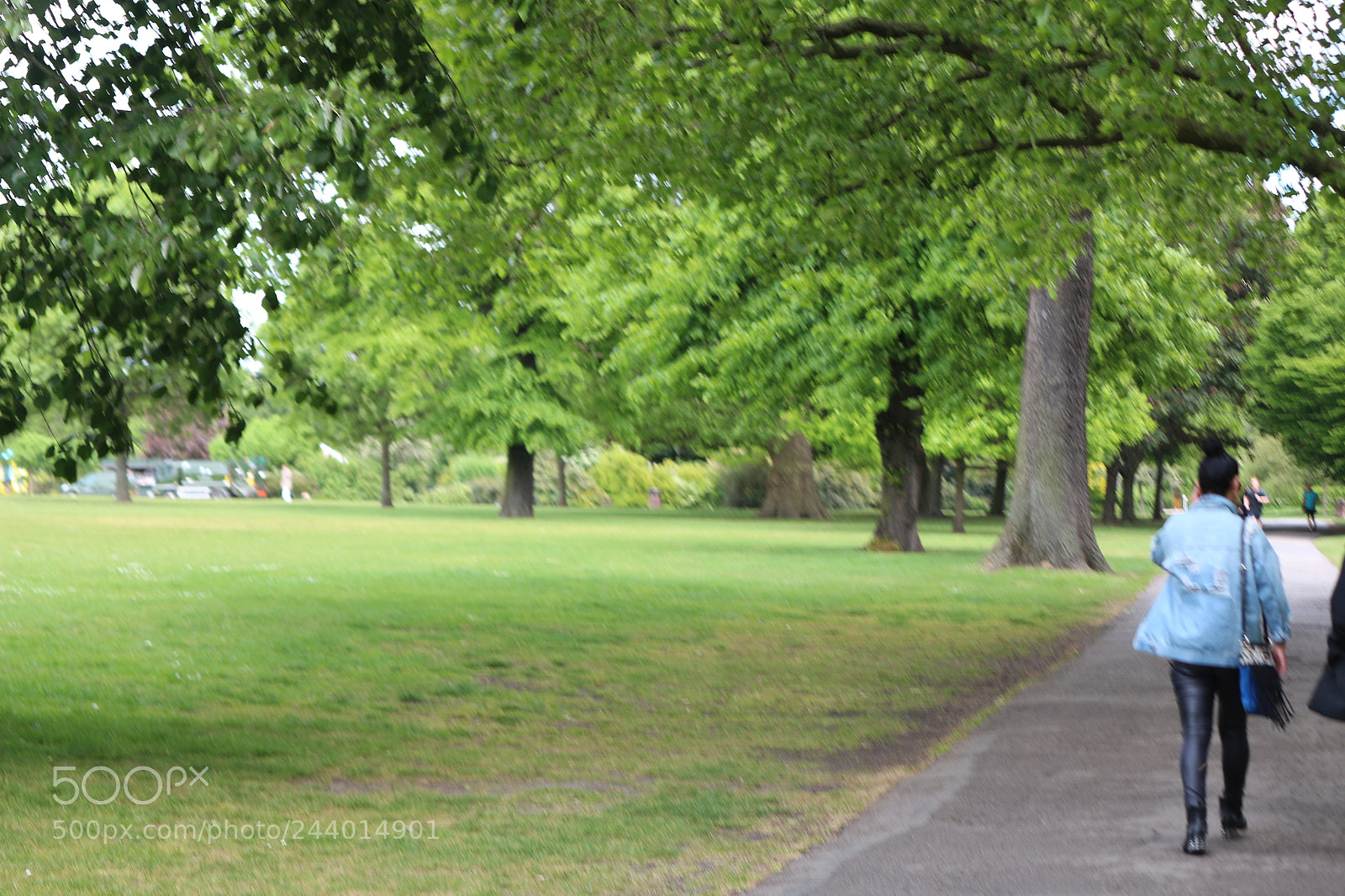 Canon EOS 650D (EOS Rebel T4i / EOS Kiss X6i) sample photo. Img photography