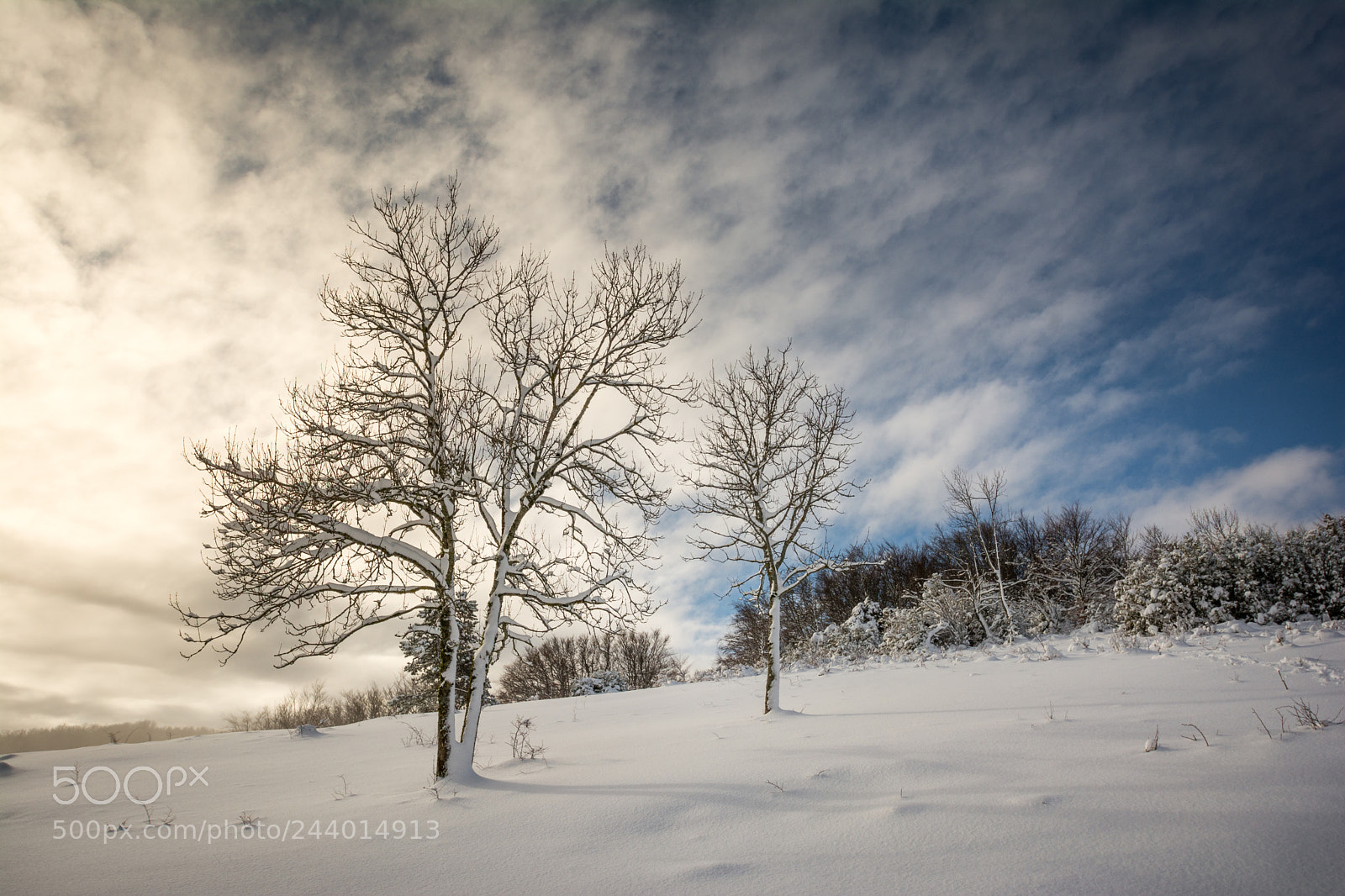 Nikon D7100 sample photo. Vercors 2018 photography