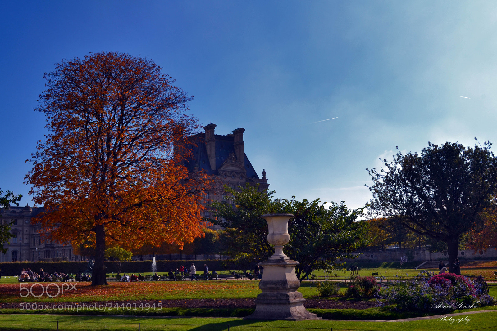 Nikon D3100 sample photo. Bonjour photography