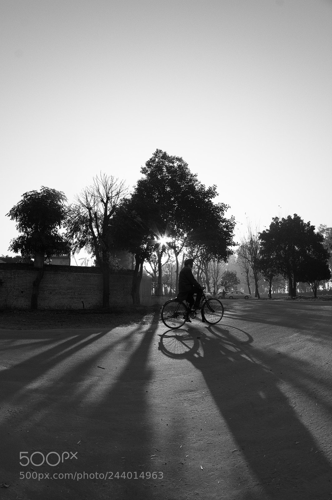 Nikon D7100 sample photo. Lights and shadows photography