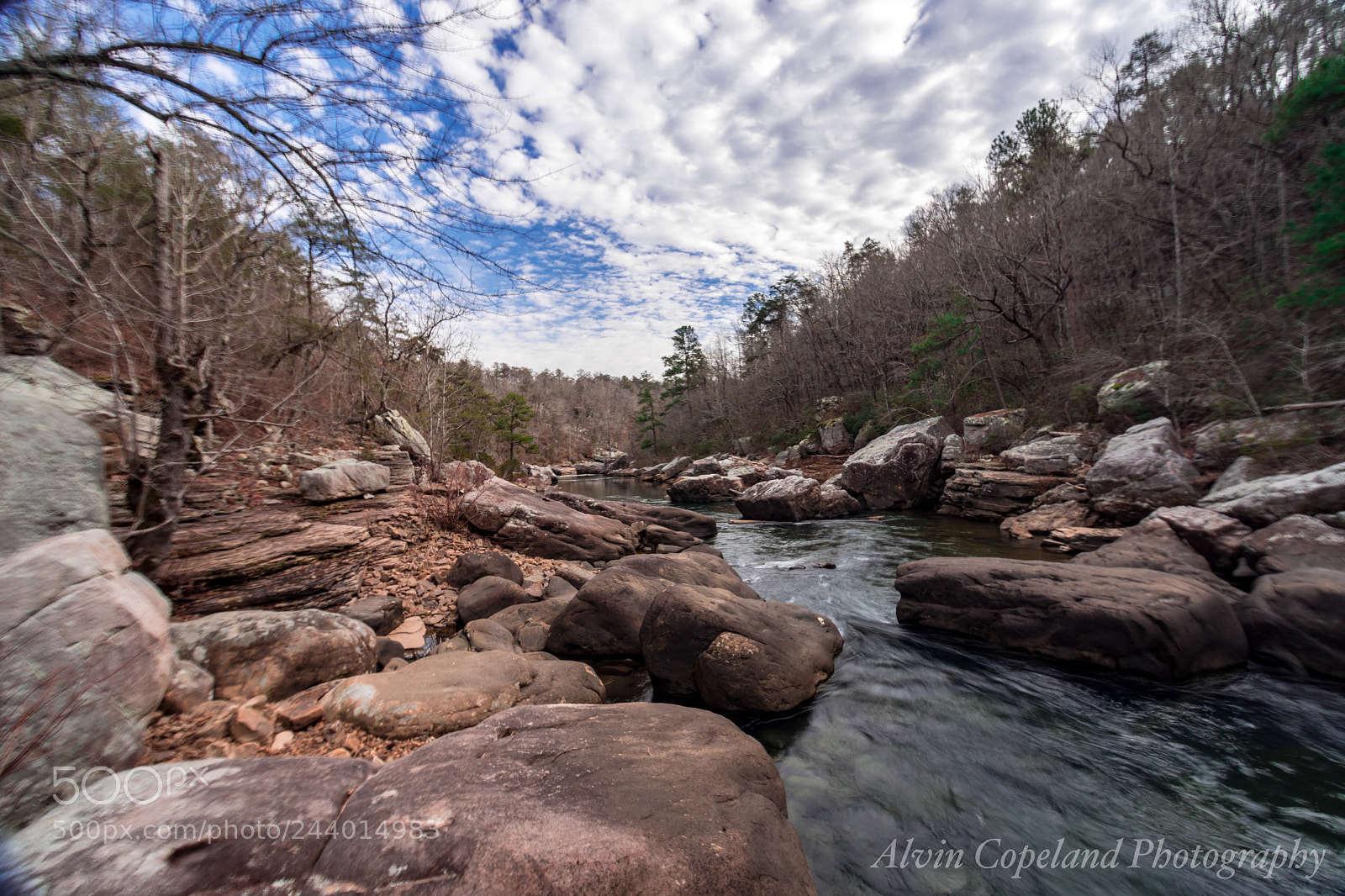 Nikon D7200 sample photo. Along the river 2 photography