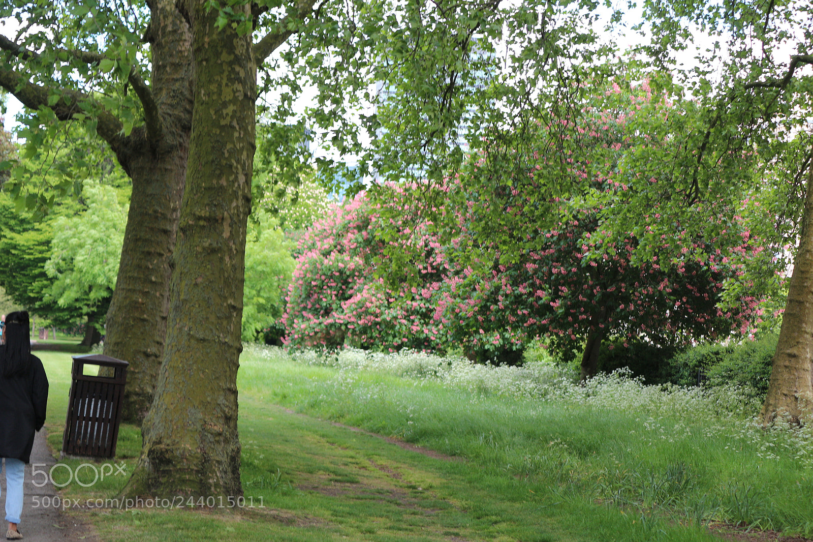 Canon EOS 650D (EOS Rebel T4i / EOS Kiss X6i) sample photo. Img photography