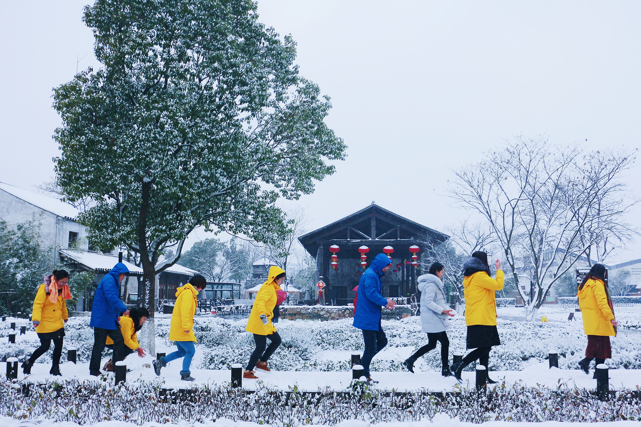 Canon EOS 700D (EOS Rebel T5i / EOS Kiss X7i) + Canon EF 50mm f/1.8 sample photo. The first snow of 2008！ photography