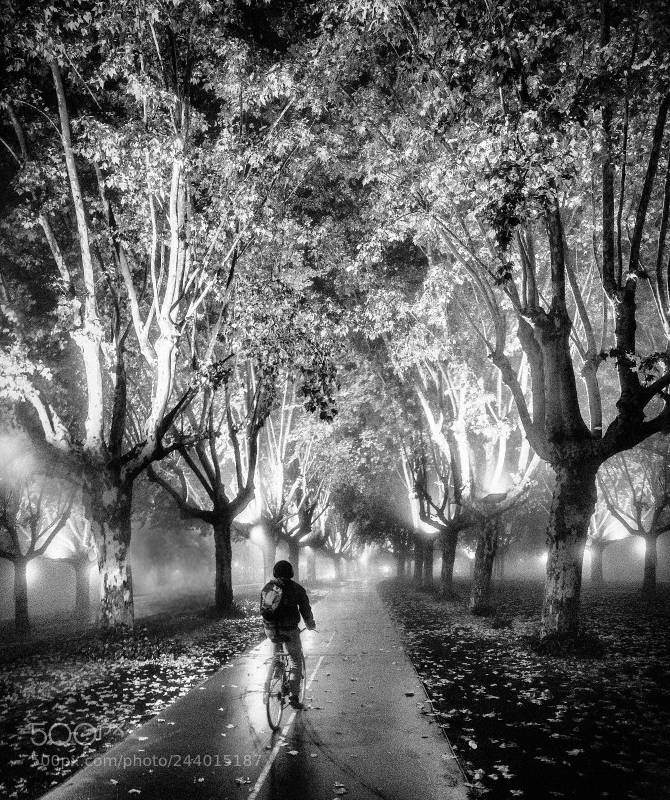 Sony a7R II sample photo. Surrealist light photography