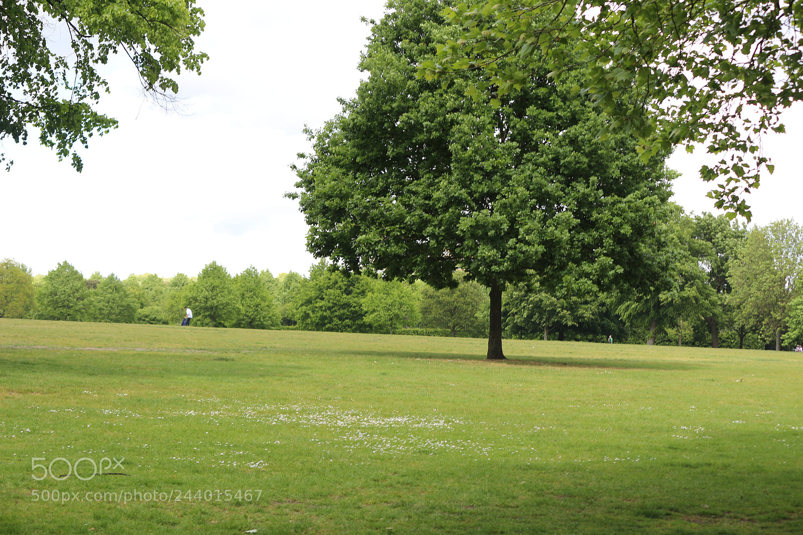 Canon EOS 650D (EOS Rebel T4i / EOS Kiss X6i) sample photo. Img photography