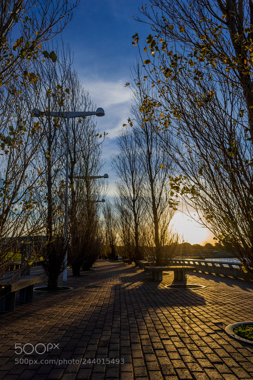 Nikon D3200 sample photo. Warm and calm feel photography