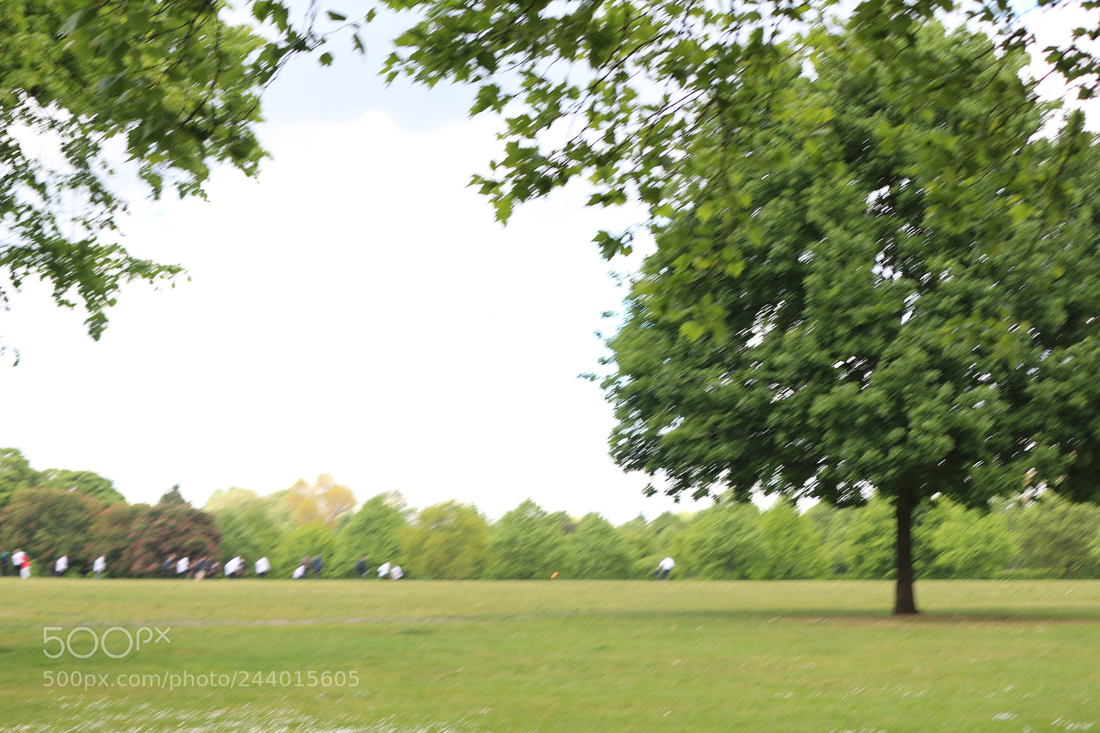 Canon EOS 650D (EOS Rebel T4i / EOS Kiss X6i) sample photo. Img photography